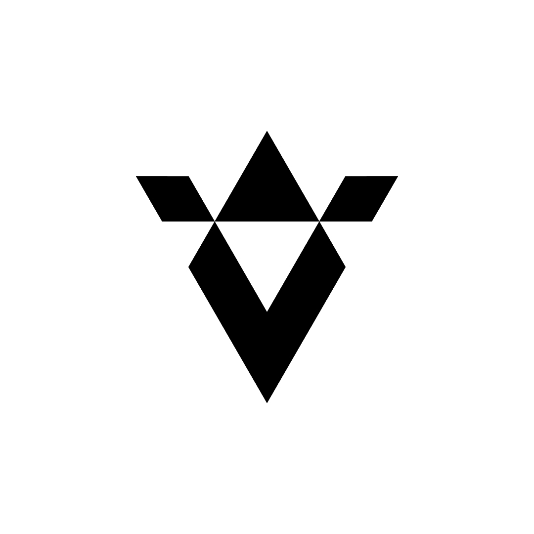 Valor V Logo
